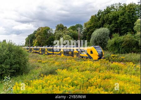 Tukums, Lettonie - 22 août 2024 : train voyageant à travers un paysage verdoyant luxuriant avec des fleurs sauvages en fleurs Banque D'Images