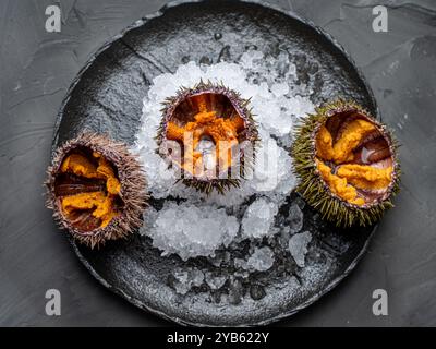 Fruits de mer crus, oursins exposés avec du caviar sur glace sur une plaque de mica noir sur un fond sombre. Photo de haute qualité Banque D'Images