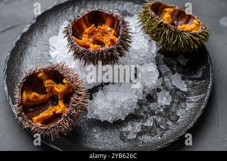 Fruits de mer crus, oursins exposés avec du caviar sur glace sur une plaque de mica noir sur un fond sombre. Photo de haute qualité Banque D'Images