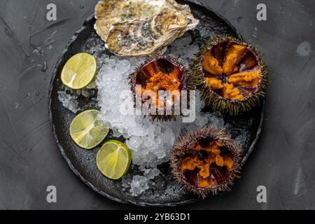 Fruits de mer crus, oursins exposés avec du caviar sur glace sur une plaque de mica noir sur un fond sombre. Photo de haute qualité Banque D'Images