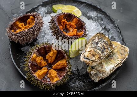 Fruits de mer crus, oursins exposés avec du caviar sur glace sur une plaque de mica noir sur un fond sombre. Photo de haute qualité Banque D'Images