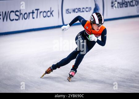 Dresde, Allemagne, 3 février 2019 : la patineuse de vitesse féminine Rianne de Vries, des pays-Bas, participe à la Coupe du monde de patinage de vitesse sur courte piste de l'ISU Banque D'Images