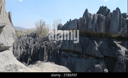 'Big' Tsingy de Bemaraha, site du patrimoine mondial de l'UNESCO vue d'en haut, formations rocheuses uniques qui ne peuvent être trouvées nulle part ailleurs sur la planète. Banque D'Images