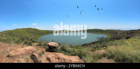 Laguna 'El Junco' sur l'île de San Cristobal, Galapagos Banque D'Images