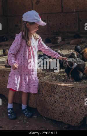 Enfant jouant et se nourrissant avec le cobaye. Voyage au zoo ou à la ferme. Photo de haute qualité Banque D'Images