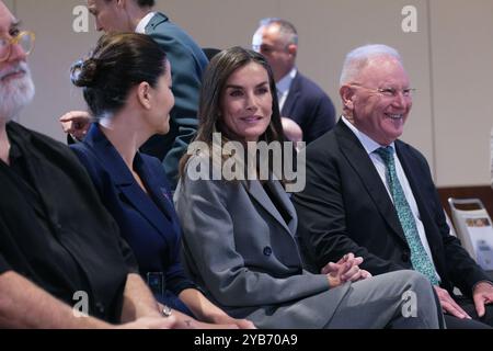 Madrid, Espagne. 17 octobre 2024. La Reine Letizia d'Espagne à l'événement institutionnel de la 'Journée mondiale de la santé mentale 2024', le 17 octobre 2024, à Madrid, Espagne. Crédit : Sipa USA/Alamy Live News Banque D'Images