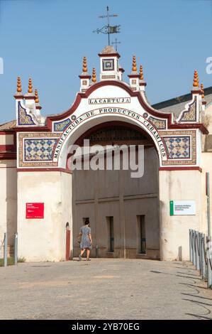 CAAC, CENTRE ANDALOU D'ART CONTEMPORAIN / CENTRO ANDALUZ DE ARTE CONTEMPORÁNEO Banque D'Images