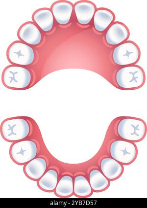 Tableau des dents. Schéma dentaire des mâchoires. Infographie dentaire Illustration de Vecteur