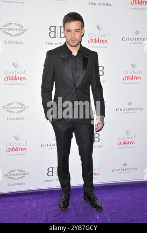 Liam Payne au Caudwell Children Butterfly Ball 2019, Grosvenor House Hotel, Park Lane, Londres, Angleterre, UK, le jeudi 13 juin 2019.Cap/CAN ©CA Banque D'Images