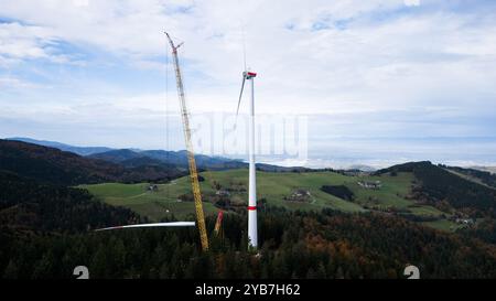 Fribourg, Allemagne. 17 octobre 2024. Une grue lève la troisième pale de rotor d'une nouvelle éolienne sur le Holzschlägermatte sur le Schauinsland. La turbine devrait fournir trois fois la puissance de la turbine précédente, qui a été démolie l'année dernière après 20 ans d'exploitation. Crédit : Philipp von Ditfurth//dpa/Alamy Live News Banque D'Images