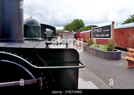 Le char valise no 1369 du GWR arrive à la gare de Totnes Riverside sur le South Devon Railway avec un train de marchandises de démonstration. Vu du fourgon des gardes. Banque D'Images