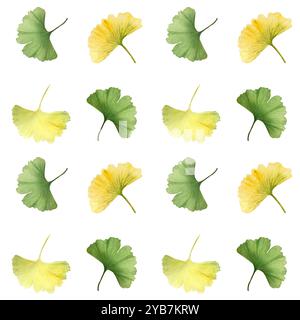 Trois ginkgo biloba, arbre maidenhair vibrant vert et jaune feuilles sans couture. Aquarelle texturée détaillée peinte à la main de haute qualité parfaite Banque D'Images