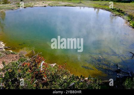 Hot Spring, appelée Leather Pool at Fountain Paint pot, Lower Geyser Basin, parc national de Yellowstone, États-Unis Banque D'Images