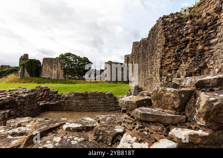 Château de Barnard, murs extérieurs le château de Barnard est un château médiéval en ruines situé dans la ville du même nom dans le comté de Durham, en Angleterre. Une pierre CA Banque D'Images