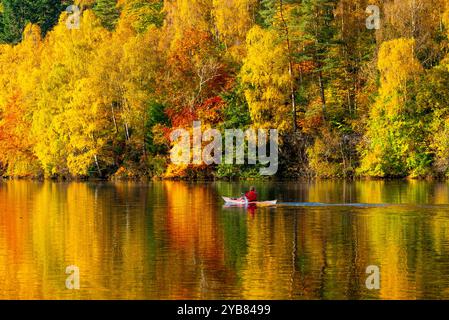 Pitlochry, Écosse, Royaume-Uni. 17 octobre 2024. Femme en kayak sur le Loch Faskally entourée par les couleurs spectaculaires des bois d'automne à Pitlochry. Iain Masterton/ Alamy Live News Banque D'Images