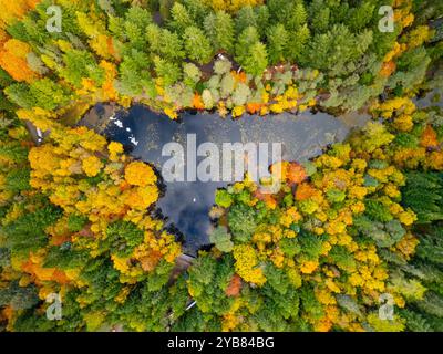 Pitlochry, Écosse, Royaume-Uni. 17 octobre 2024. Vue aérienne du Loch Dunmore, l'emplacement de la Forêt enchantée , entouré de bois aux couleurs d'automne à Pitlochry, Perthshire. Iain Masterton/ Alamy Live News Banque D'Images