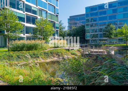 Plantations vertes parmi les immeubles de bureaux. Aménagement paysager moderne. Lieu de repos. Banque D'Images