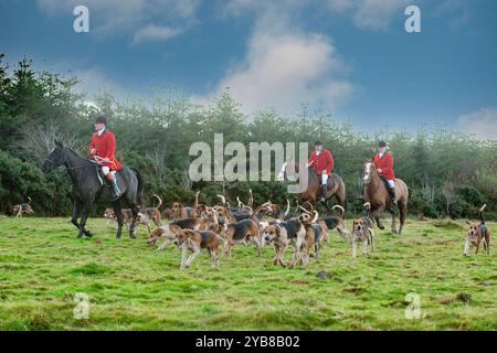 chasseurs avec pack de foxhounds à cheval à travers la campagne Banque D'Images