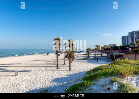 Palmiers sur sable blanc à Clearwater Beach, Floride Banque D'Images