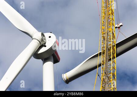 Fribourg, Allemagne. 17 octobre 2024. Une grue lève la troisième pale de rotor d'une nouvelle éolienne sur le Holzschlägermatte sur le Schauinsland. La turbine devrait fournir trois fois la puissance de la turbine précédente, qui a été démolie l'année dernière après 20 ans d'exploitation. Crédit : Philipp von Ditfurth//dpa/Alamy Live News Banque D'Images