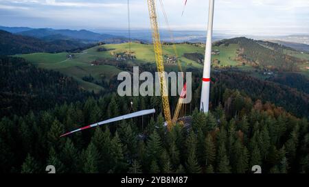 Fribourg, Allemagne. 17 octobre 2024. Une grue lève la troisième pale de rotor d'une nouvelle éolienne sur le Holzschlägermatte sur le Schauinsland. La turbine devrait fournir trois fois la puissance de la turbine précédente, qui a été démolie l'année dernière après 20 ans d'exploitation. Crédit : Philipp von Ditfurth//dpa/Alamy Live News Banque D'Images