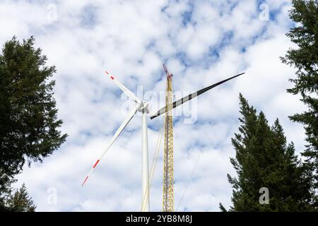 Fribourg, Allemagne. 17 octobre 2024. Une grue lève la troisième pale de rotor d'une nouvelle éolienne sur le Holzschlägermatte sur le Schauinsland. La turbine devrait fournir trois fois la puissance de la turbine précédente, qui a été démolie l'année dernière après 20 ans d'exploitation. Crédit : Philipp von Ditfurth//dpa/Alamy Live News Banque D'Images