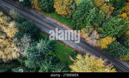 Un train de marchandises chargé de charbon coupe une forêt d'automne dans l'État de Washington, aux États-Unis Banque D'Images