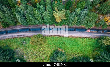 Un train de marchandises chargé de charbon coupe une forêt d'automne dans l'État de Washington, aux États-Unis Banque D'Images