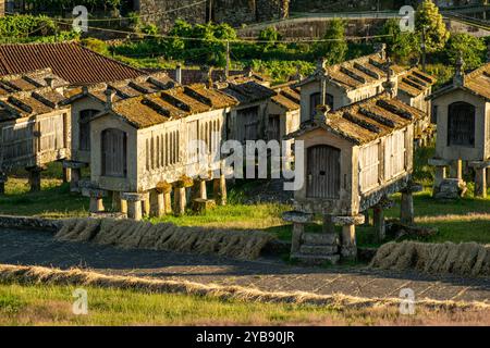 Greniers traditionnels en Galice et au nord du Portugal appelés espigueiros. Lindoso, Ponte da Barca. Portugal Banque D'Images