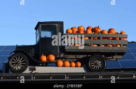 Un camion antique chargé de citrouilles se trouve sur le toit d'un marché agricole sur l'île de Vancouver, Colombie-Britannique, Canada Banque D'Images