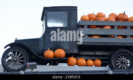 Un camion antique chargé de citrouilles se trouve sur le toit d'un marché agricole sur l'île de Vancouver, Colombie-Britannique, Canada Banque D'Images