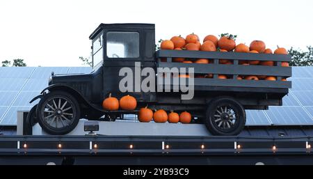 Un camion antique chargé de citrouilles se trouve sur le toit d'un marché agricole sur l'île de Vancouver, Colombie-Britannique, Canada Banque D'Images