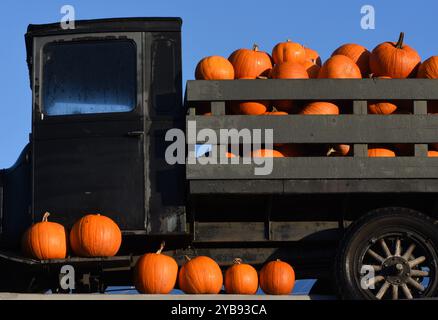 Un camion antique chargé de citrouilles se trouve sur le toit d'un marché agricole sur l'île de Vancouver, Colombie-Britannique, Canada Banque D'Images