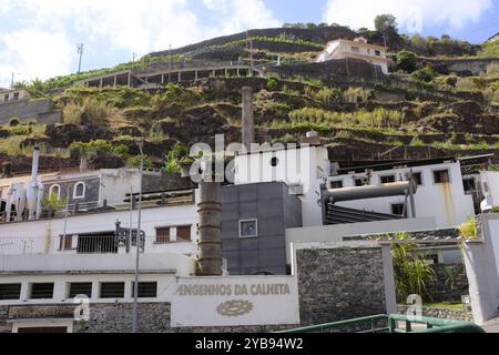 Distillerie de rhum Engenhos da Calheta à Madère Banque D'Images