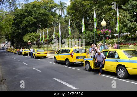 Taxis stationnés à Funchal, Madère Banque D'Images
