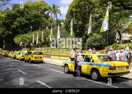 Taxis stationnés à Funchal, Madère Banque D'Images