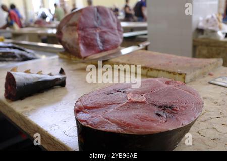 Marché aux poissons à Funchal, Madère, Portugal Banque D'Images