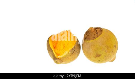 Fruits tropicaux sapote d'Amérique du Sud - Quararibea cordata. Banque D'Images