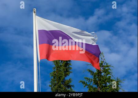 Flottant gracieusement, le drapeau russe met en valeur ses couleurs éclatantes sous un ciel bleu clair, entouré d'arbres verdoyants, symbolisant la fierté et le nat Banque D'Images