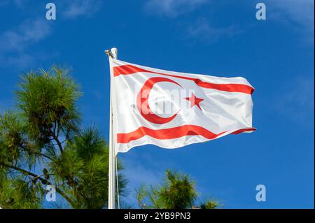 Le drapeau de Chypre du Nord est fièrement affiché contre un ciel bleu éclatant, avec des pins ensoleillés encadrant doucement la scène, suggérant un tranq chaud Banque D'Images