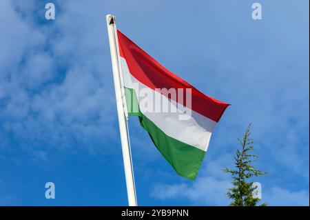 Un drapeau hongrois vibrant avec des rayures rouges, blanches et vertes ondule dans la brise sous un ciel bleu vif, entouré d'arbres verdoyants. Banque D'Images