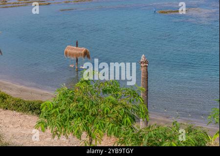Des eaux turquoises calmes tapissent doucement contre la côte sablonneuse, tandis qu'un arbre vert luxuriant encadre des huttes de chaume parsemant la côte sous un ciel bleu vif Banque D'Images