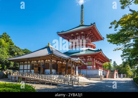 Naritasan Shinshoji, un temple bouddhiste Shingon situé à Narita, Chiba, Japon Banque D'Images