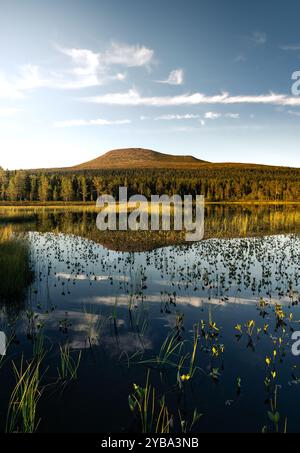 Heure d'or, la montagne Städjan met en valeur son reflet symétrique dans le lac serein entouré de verdure luxuriante et de la nature d'Idre Dalarna Suède Banque D'Images