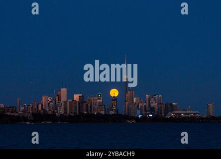 Toronto, Canada. 17 octobre 2024. La pleine lune se lève au-dessus de l'horizon à Toronto, Canada, le 17 octobre 2024. Crédit : Zou Zheng/Xinhua/Alamy Live News Banque D'Images