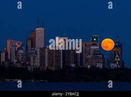 Toronto, Canada. 17 octobre 2024. La pleine lune se lève au-dessus de l'horizon à Toronto, Canada, le 17 octobre 2024. Crédit : Zou Zheng/Xinhua/Alamy Live News Banque D'Images