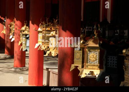 Lanternes traditionnelles en bronze décorant le Kasuga-taisha Shrine.Nara.Japan Banque D'Images