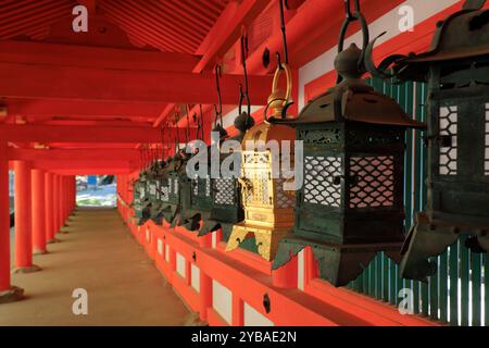 Lanternes traditionnelles en bronze décorant le Kasuga-taisha Shrine.Nara.Japan Banque D'Images