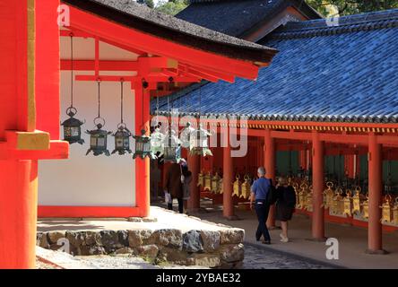 Lanternes traditionnelles en bronze décorant le Kasuga-taisha Shrine.Nara.Japan Banque D'Images