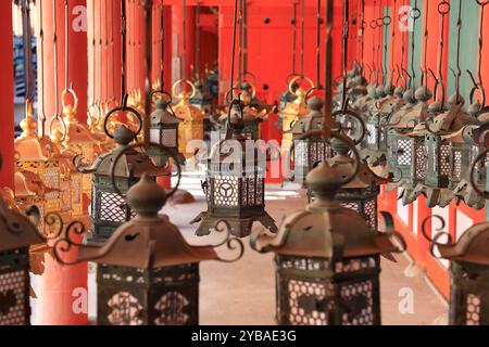 Lanternes traditionnelles en bronze décorant le Kasuga-taisha Shrine.Nara.Japan Banque D'Images